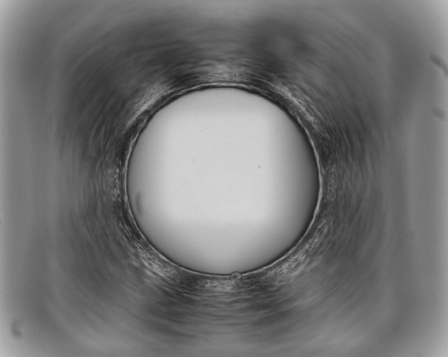 X0000098021211200804111249