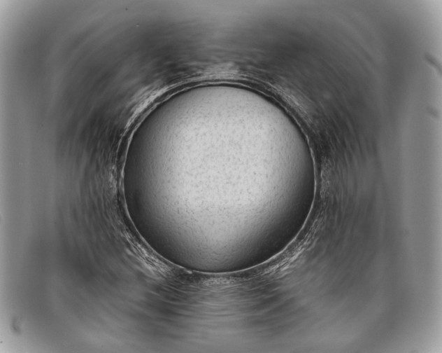 X0000098021212200804111249