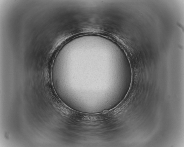 X0000098021215200804111249