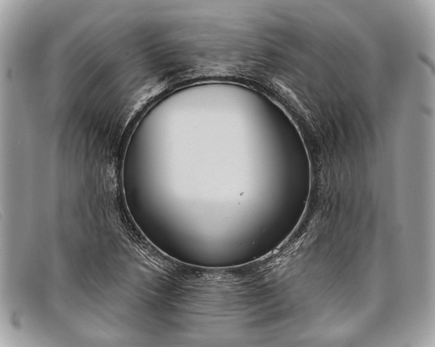 X0000098021218200804111249