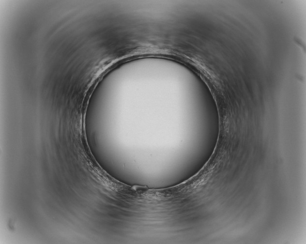 X0000098021220200804111249