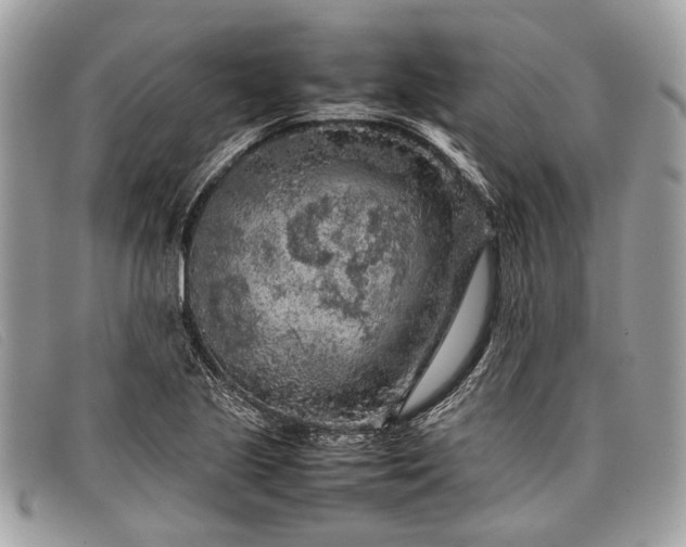 X0000098021221200804111249