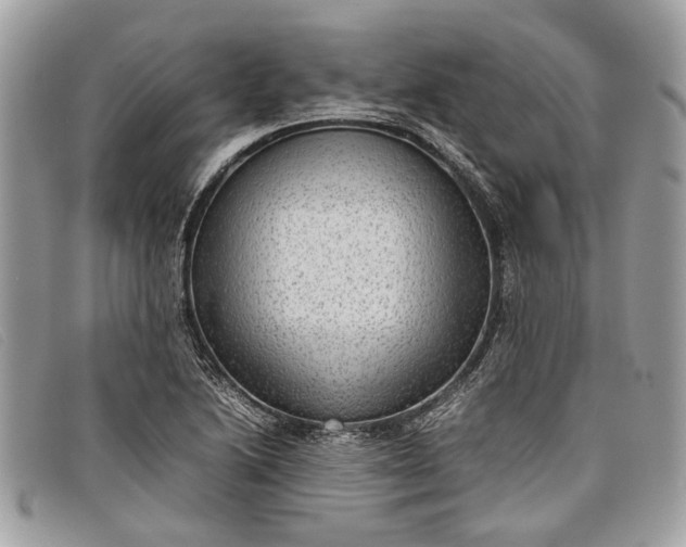 X0000098021222200804111249