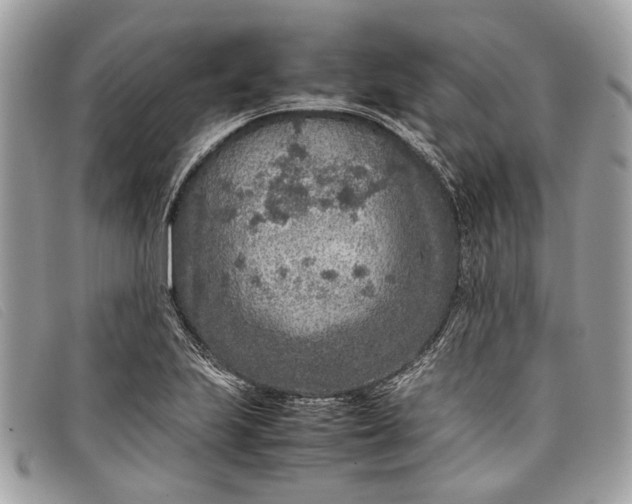 X0000098021223200804111249