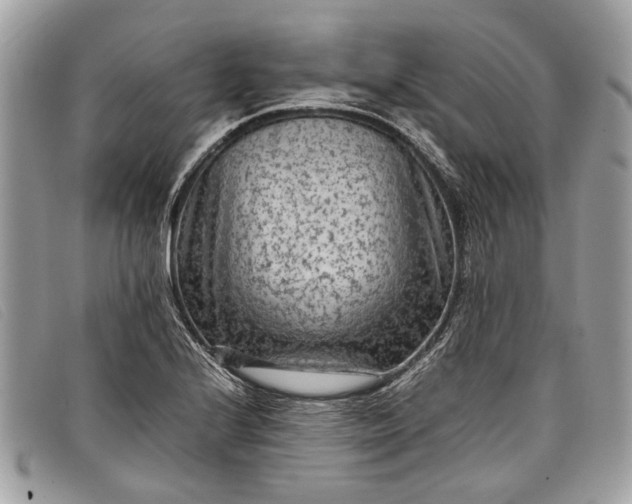 X0000098021224200804111249