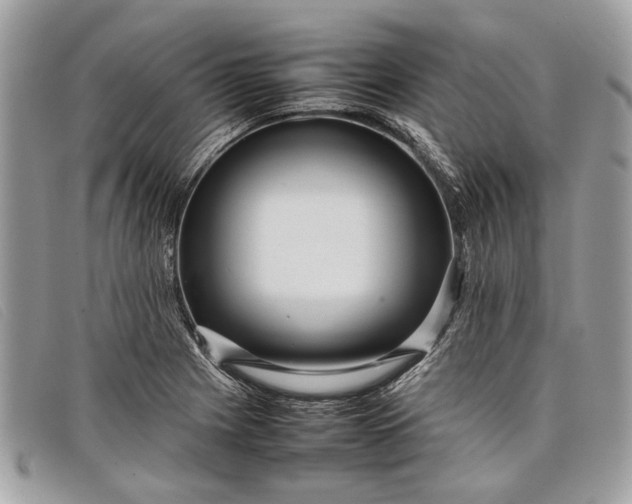 X0000098021225200804111249