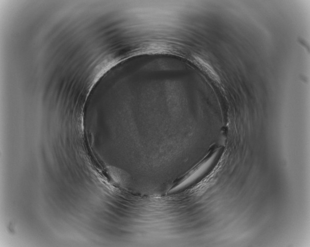 X0000098021226200804111249