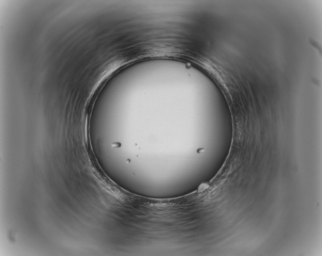 X0000098021227200804111249