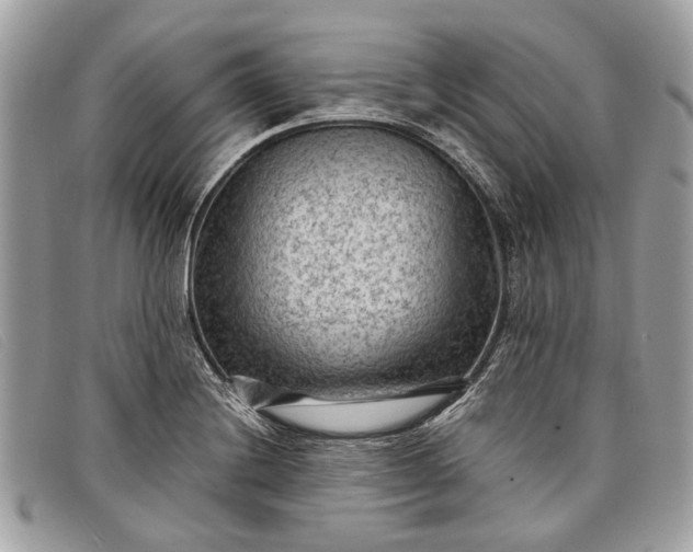 X0000098021228200804111249