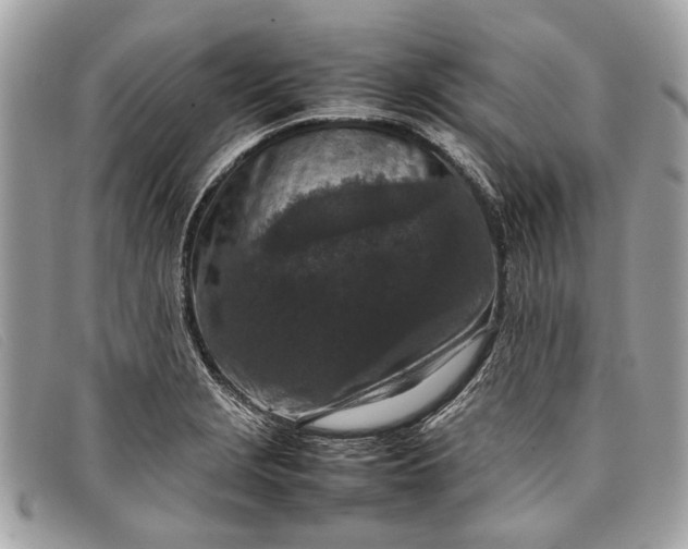 X0000098021229200804111249