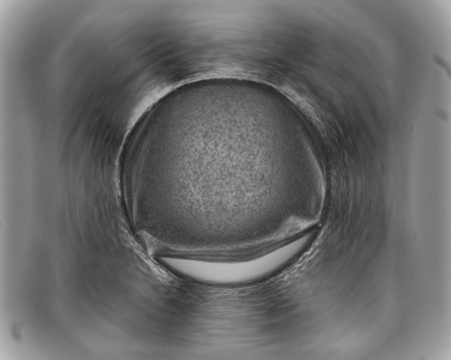 X0000098021230200804111249