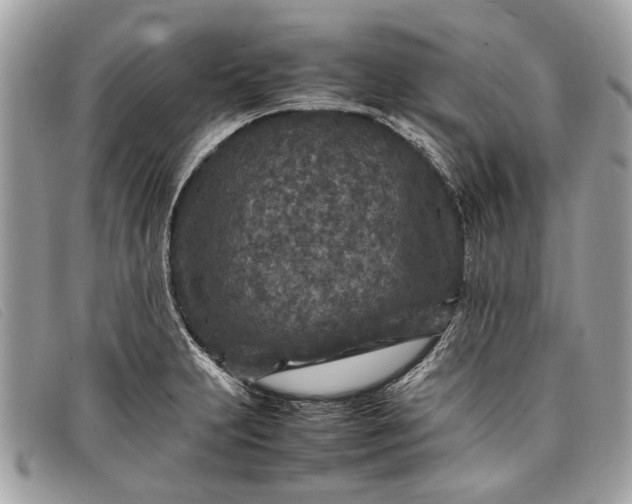 X0000098021231200804111249