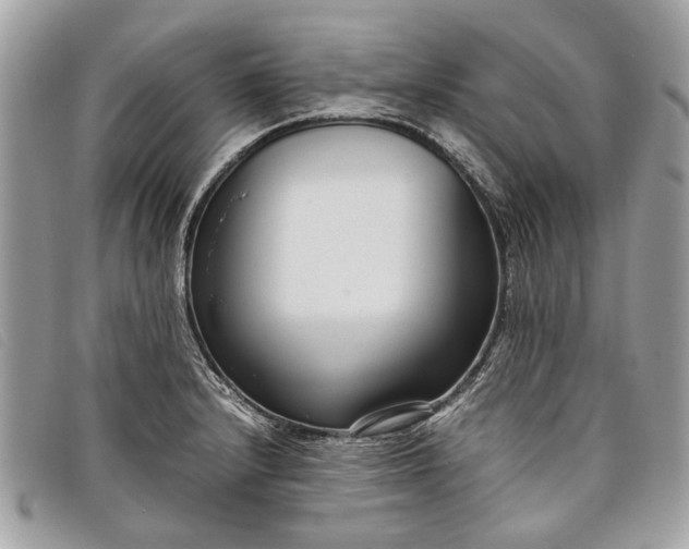 X0000098021232200804111249