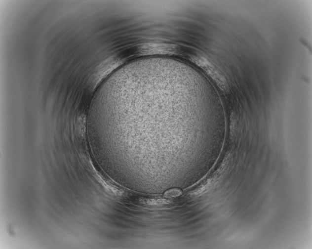 X0000098021233200804111249