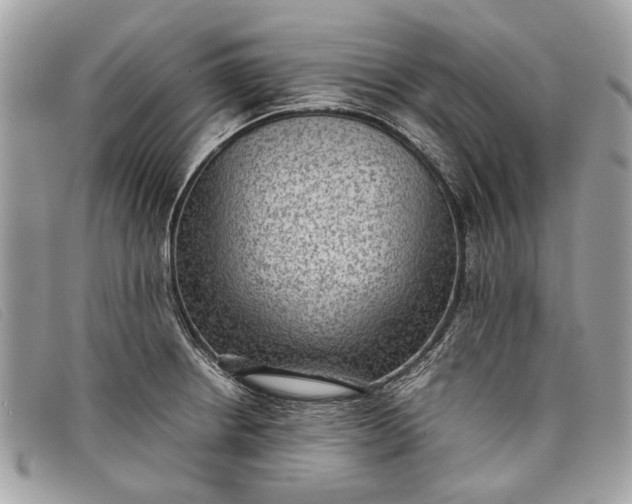 X0000098021234200804111250