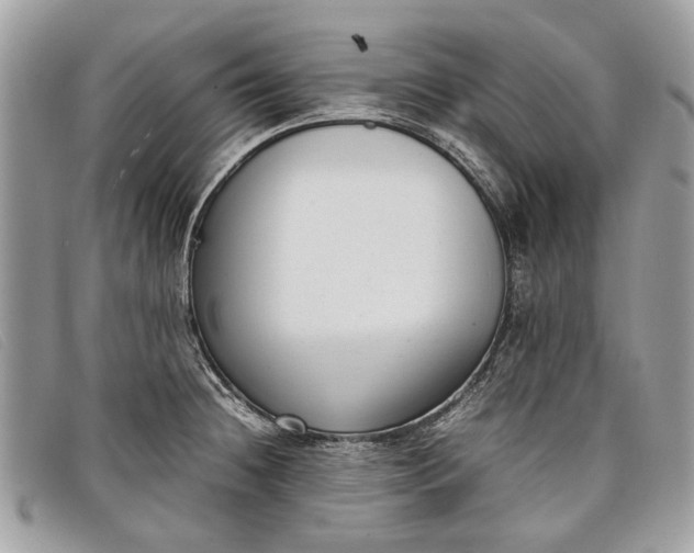 X0000098021236200804111250