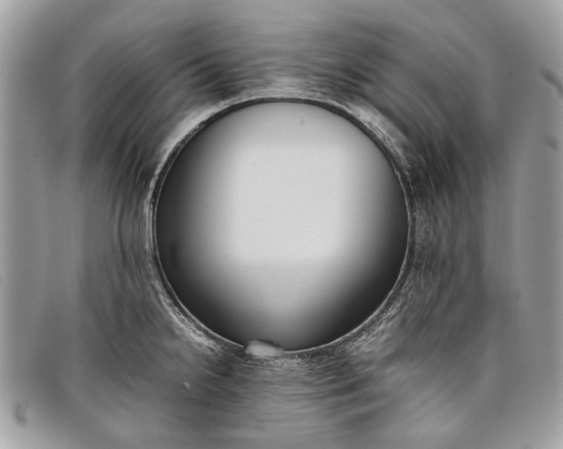 X0000098021238200804111250