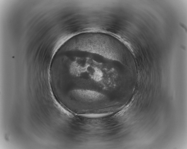 X0000098021239200804111250