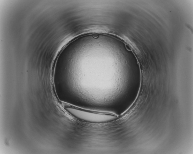 X0000098021240200804111250