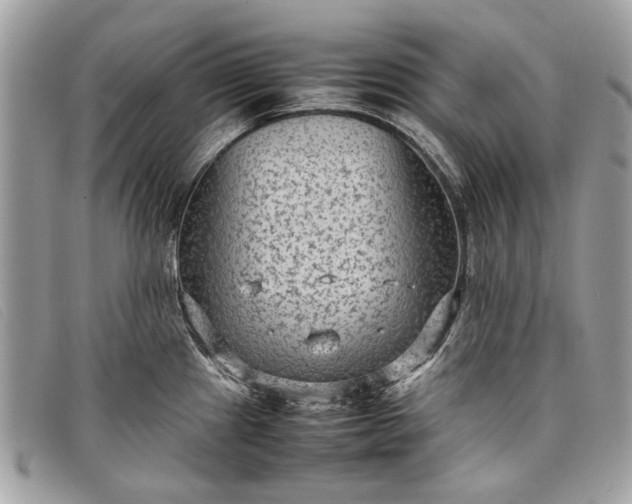 X0000098021241200804111250