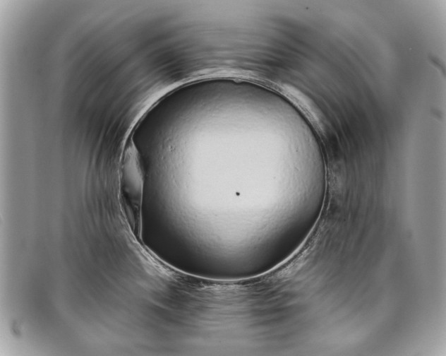 X0000098021244200804111250