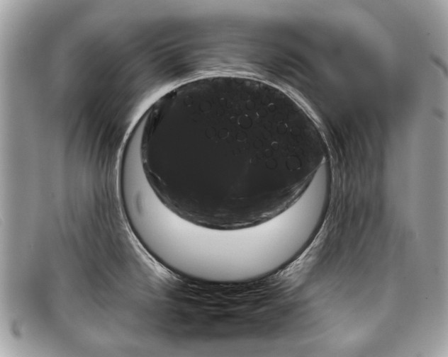 X0000098021246200804111250