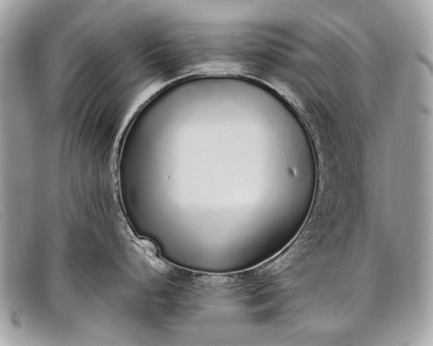 X0000098021248200804111250