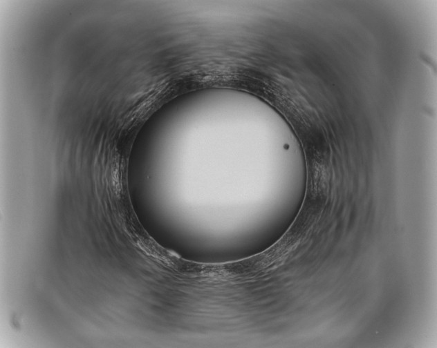 X0000098021250200804111249