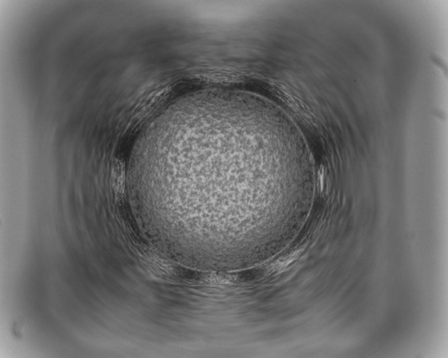 X0000098021251200804111249