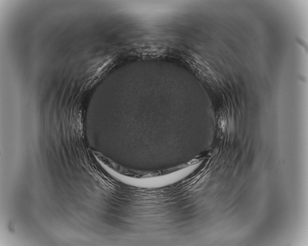 X0000098021252200804111249