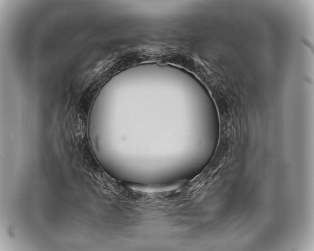 X0000098021253200804111249