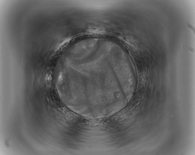 X0000098021254200804111249