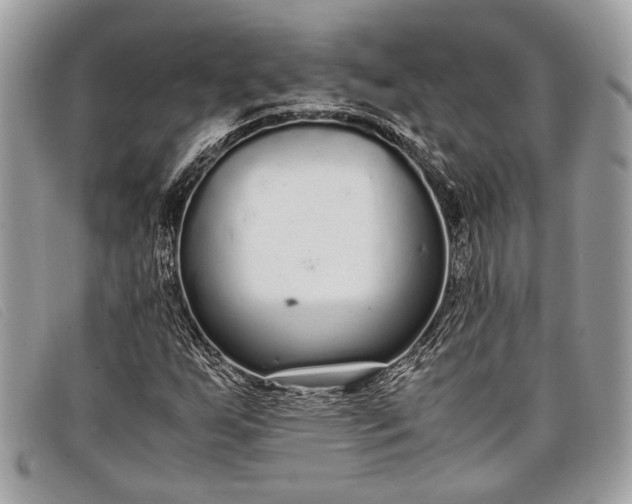 X0000098021255200804111249