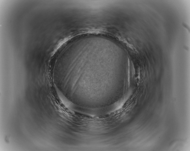 X0000098021256200804111249