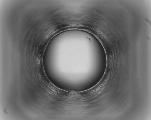 X0000098021257200804111249