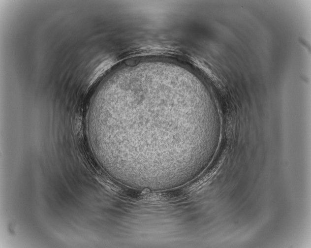 X0000098021259200804111249