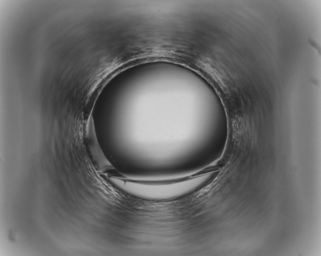 X0000098021260200804111249