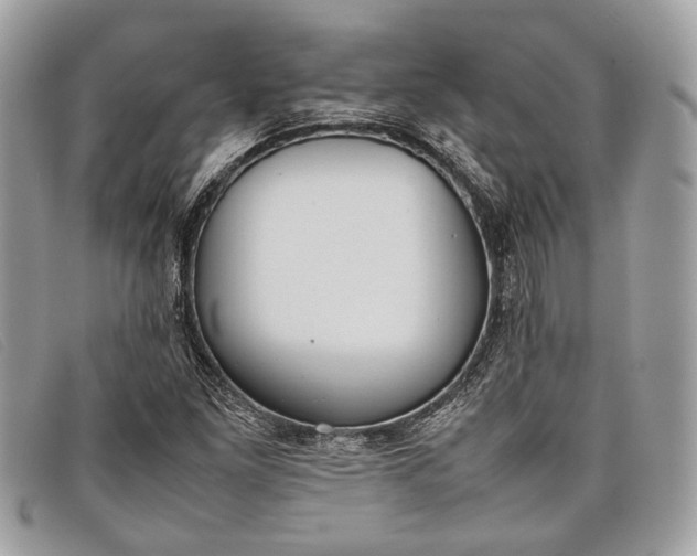 X0000098021261200804111249