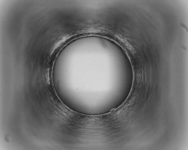 X0000098021262200804111249