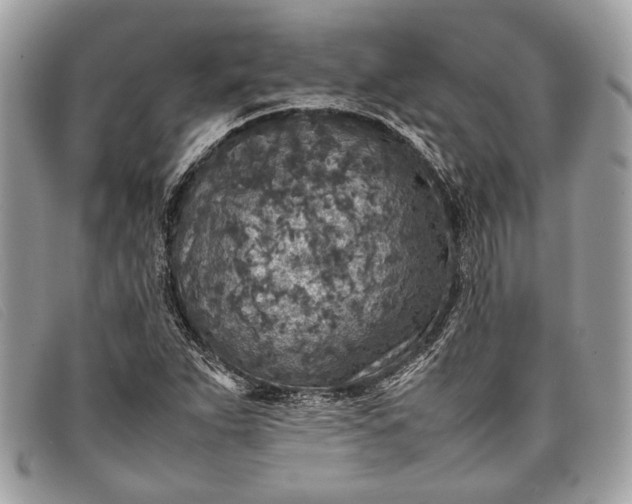 X0000098021263200804111249