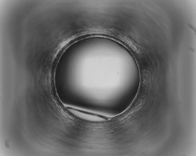 X0000098021264200804111249