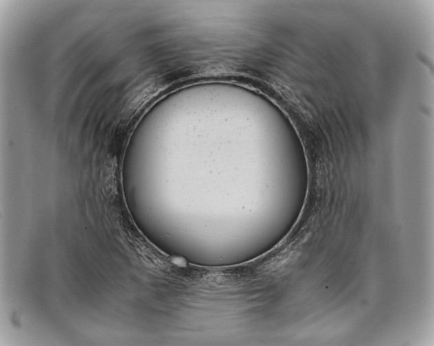 X0000098021265200804111249