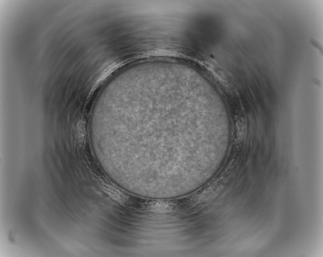 X0000098021266200804111249