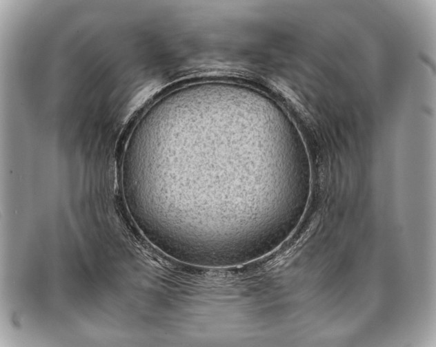 X0000098021267200804111249