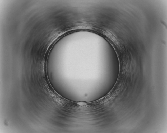 X0000098021268200804111249