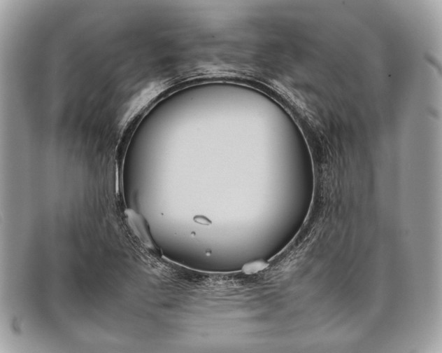 X0000098021269200804111249