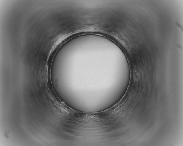 X0000098021270200804111249