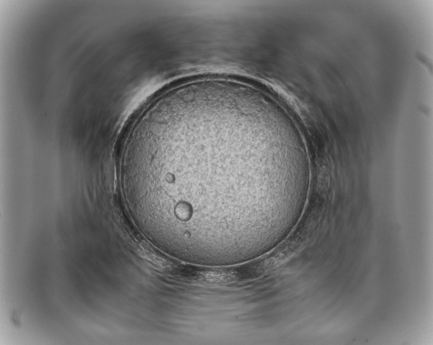 X0000098021271200804111249