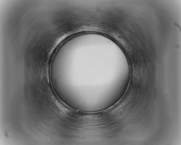 X0000098021272200804111249