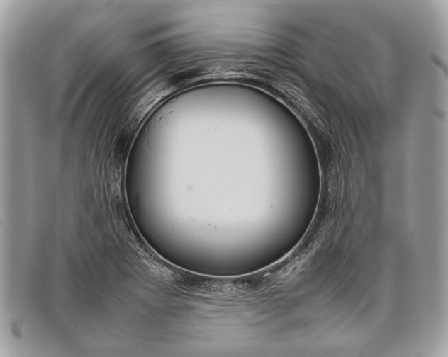 X0000098021273200804111249